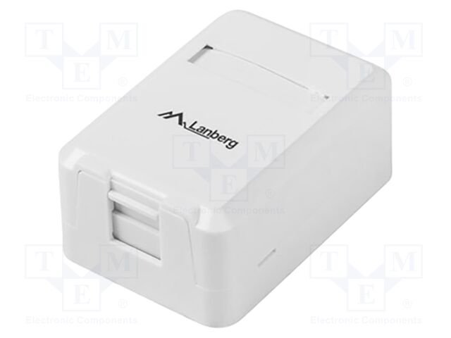 Wall socket; white; wall mount; Enclos.mat: ABS; 60.1x42.1x26.4mm